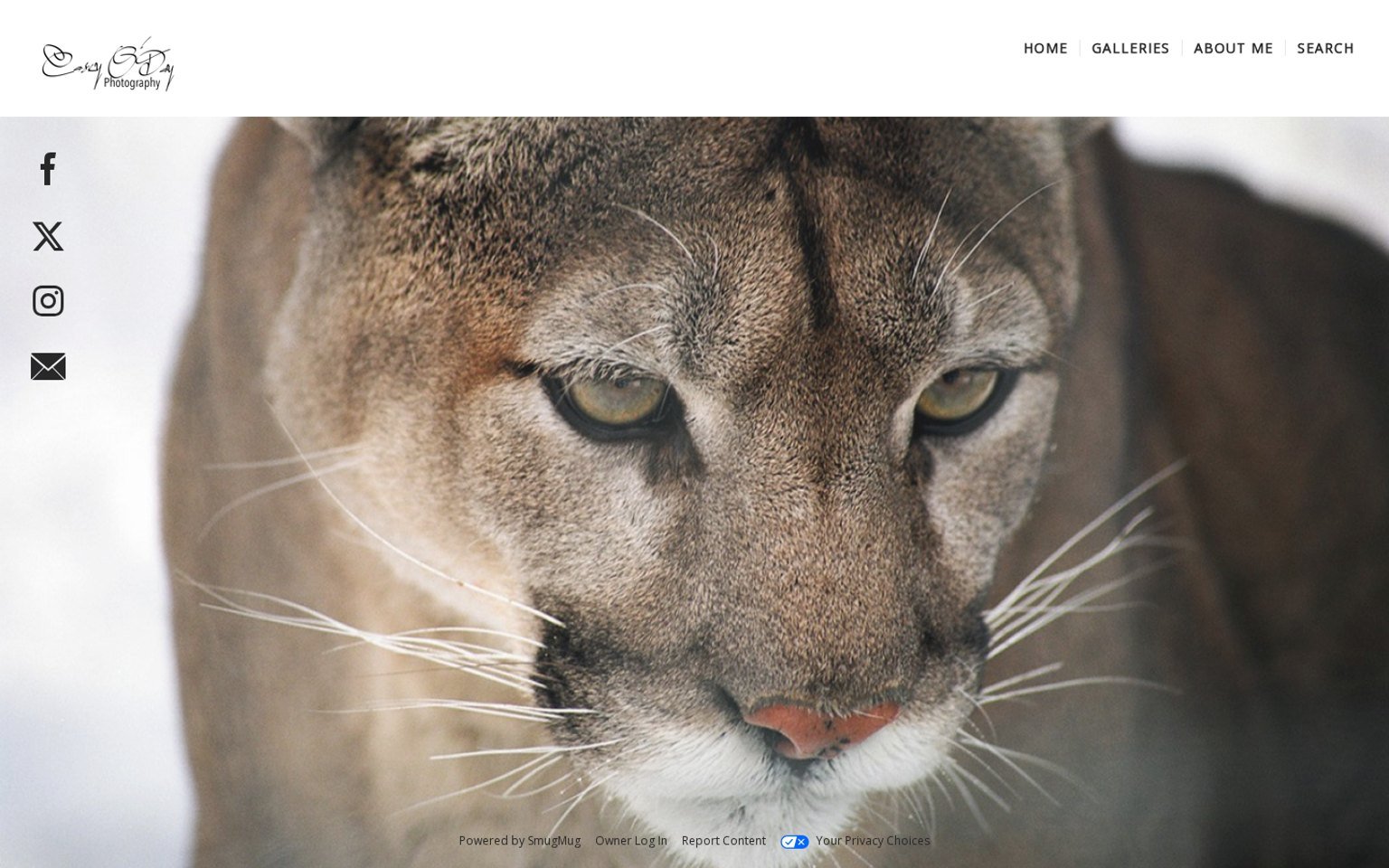 Casey O’Day Photography – Ansicht der Website